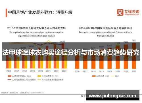 法甲球迷球衣购买途径分析与市场消费趋势研究